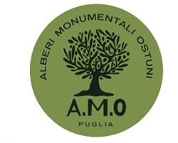 AMO logo