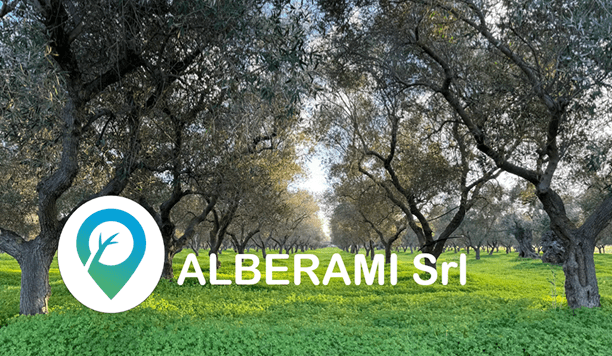 Alberami