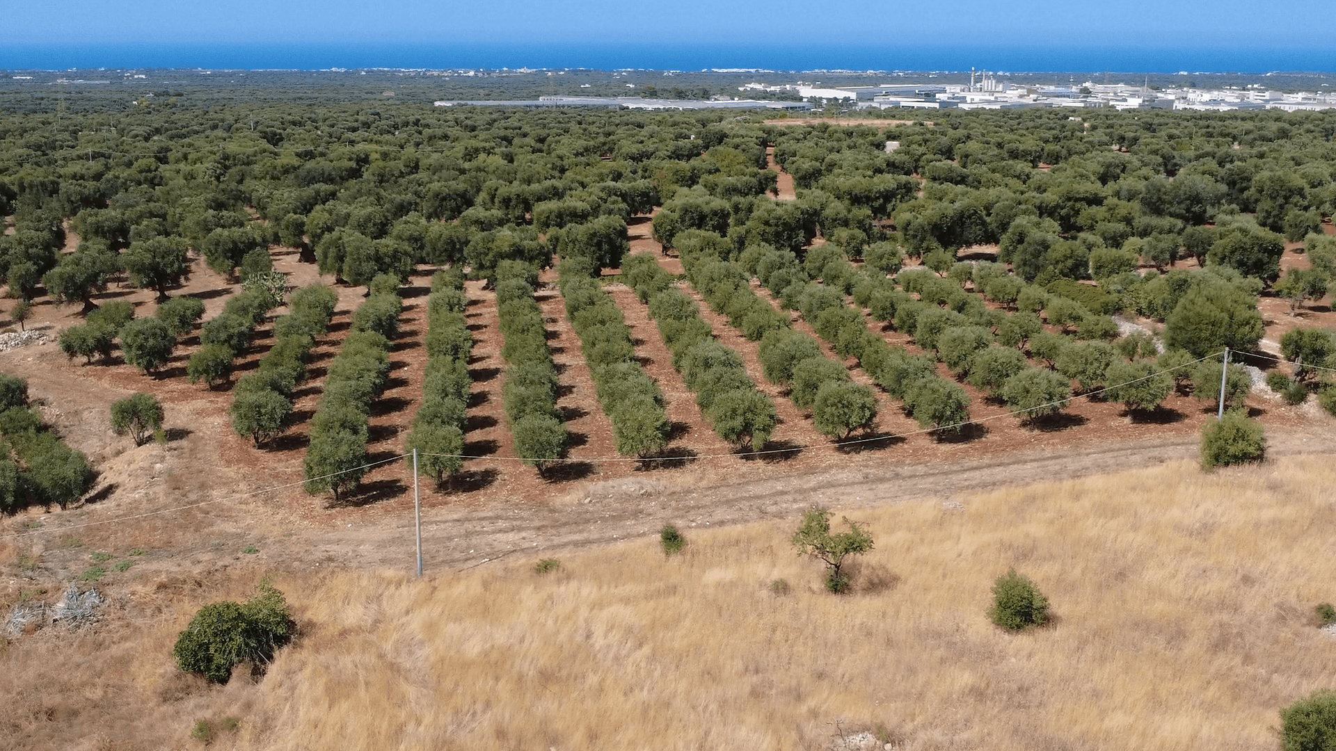 02) Elige las prácticas que mejor se adapten a tu finca