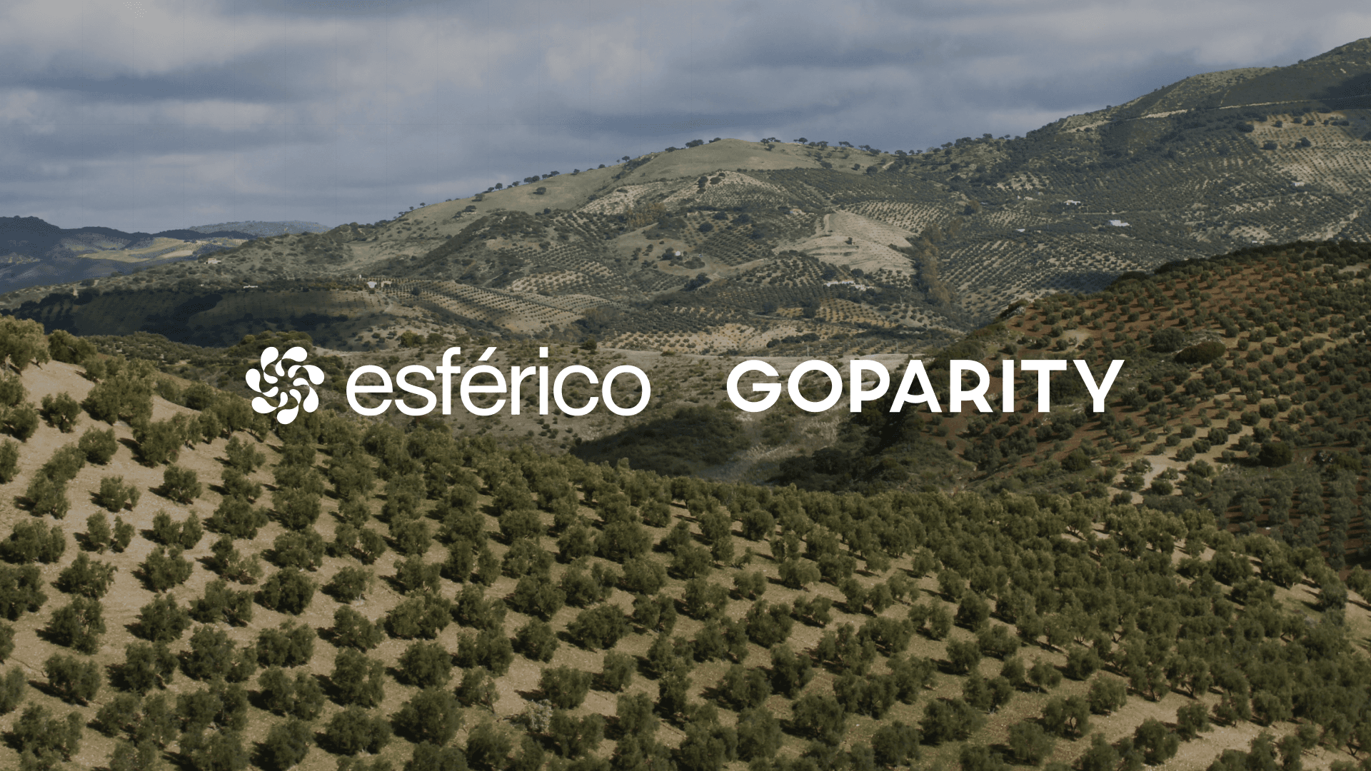 Esférico and Goparity