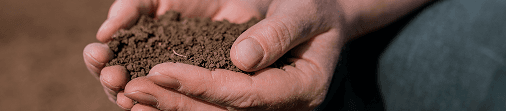 Hands grabbing soil